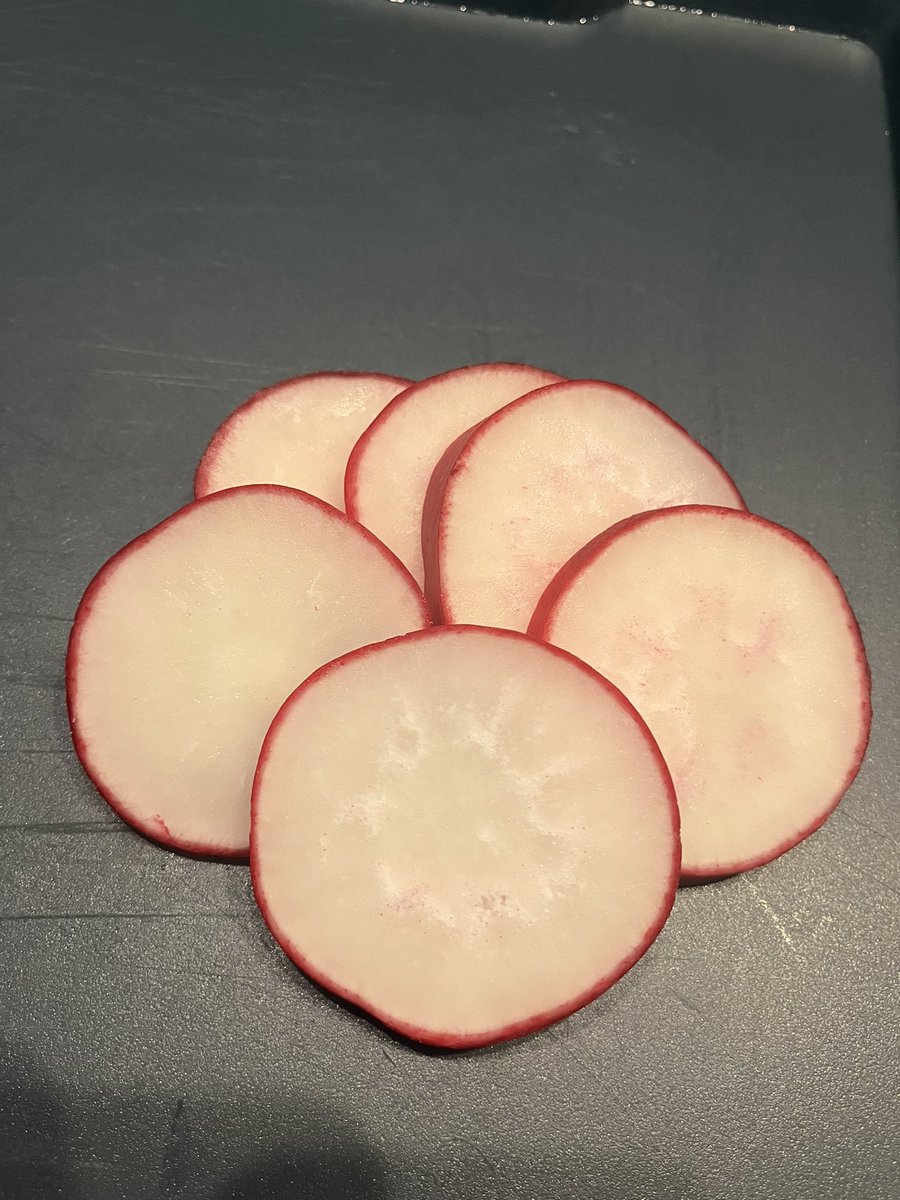 These last two spring radishes* are huge - 2 1/2” diameter.
*Crunchy King from @JohnnySeeds #sugarlandMB #thebeach #raisedbedgarden