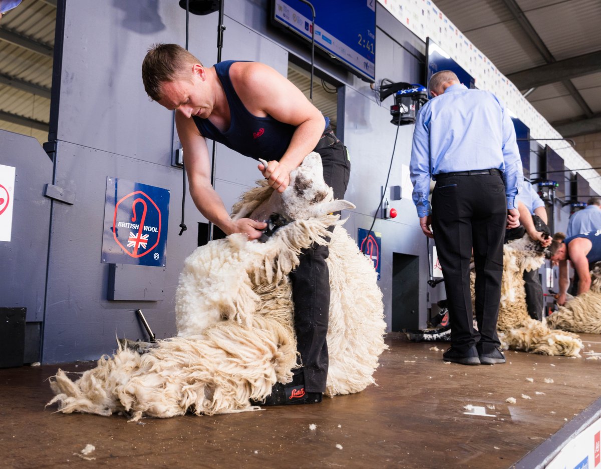 🚨 🚨 EXTENDED Shearing and Fleece entries 🚨 🚨 You can now enter up until the **10th of May** if you haven't already! Visit the competitions section of our website: royalhighlandshow.org/trade-competit… #RHS24