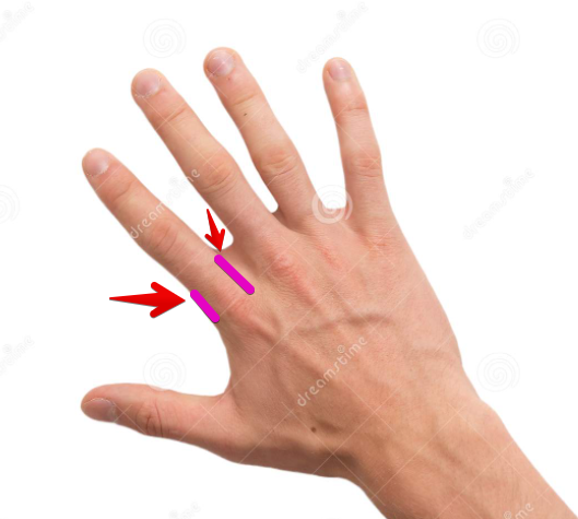 Isotarge tweet media