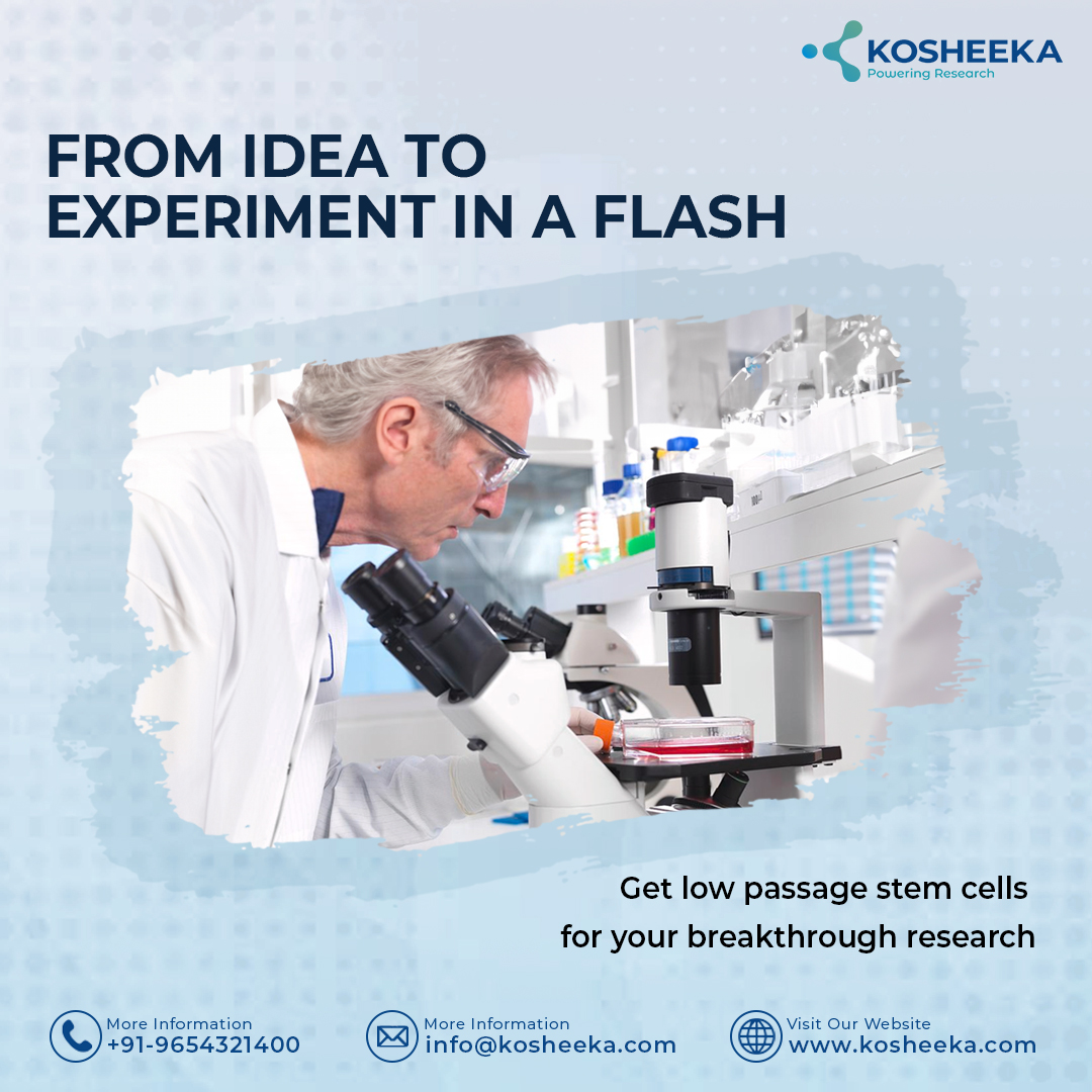 Get low passage stem cells delivered directly to your lab, empowering you to accelerate your breakthrough research.

Contact us today and see the difference!

#stemcells #primarycells #cellculture #kosheeka #research