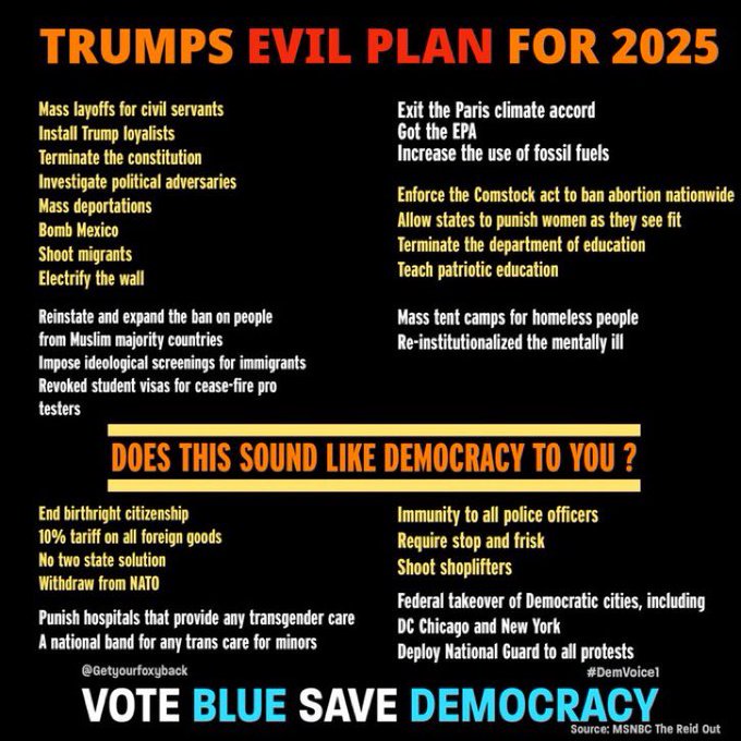 #DemVoice1 This is not just Trump’s Plan! These are Project 2025 mandates for the GOP to form a new government. DJT has taken some of the mandates and added his personal twist and make them even worse. #MAYDAYforDEMOCRACY #StopProject2025 Nothing good will come from a “christian”