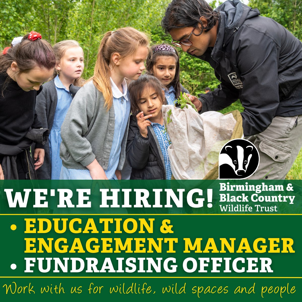 🌳2 days left to apply!🌳 We're currently looking for an Education & Engagement Manager and a Fundraising Officer to support our work for wildlife, wild spaces and people. Can you help us build a wilder Birmingham and Black Country? Apply by 03rd May: bbcwildlife.livevacancies.co.uk