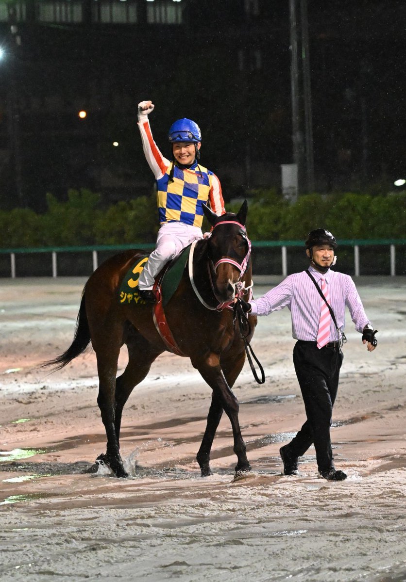 nar_keiba's tweet photo. #かしわ記念 1着はシャマル。本日船橋競馬場で行われた第36回かしわ記念(JpnⅠ•4歳上•左1600m)は、川須栄彦騎手(JRA)騎乗のシャマル(牡6･JRA･松下武士厩舎)が勝利。人馬共にJpnI初制覇。2着は5番人気タガノビューティー、3着はペプチドナイルでした。 https://t.co/xx6NpQc2Pa
