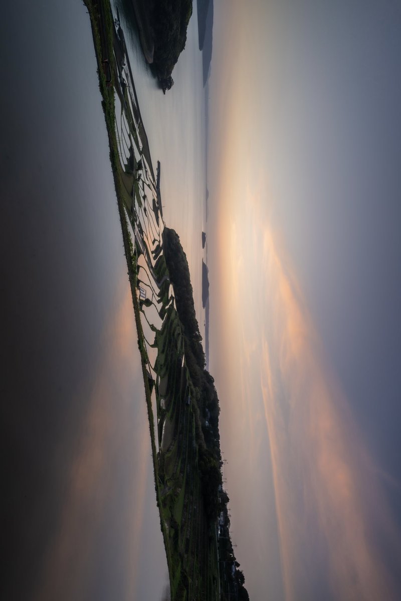 ドヤドヤドヤー🌾