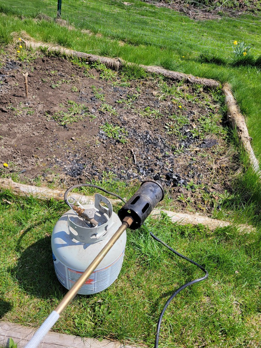 Wife: 'What are you doing with that propane torch?'
Me: 'Ummm, gardening.'