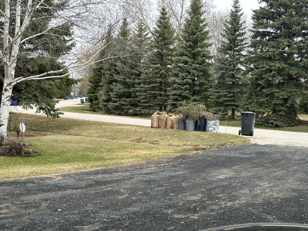 TJ Brooks tweet media