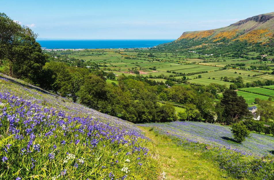 May brings new life to Ireland! Whether you're cycling scenic routes, tasting local treats at vibrant markets, or discovering secret spots, there's magic in the air. Get your spring wanderlust fix here: rb.gy/w07un1. 🌸 📍 Glenariff Glen, Co. Antrim