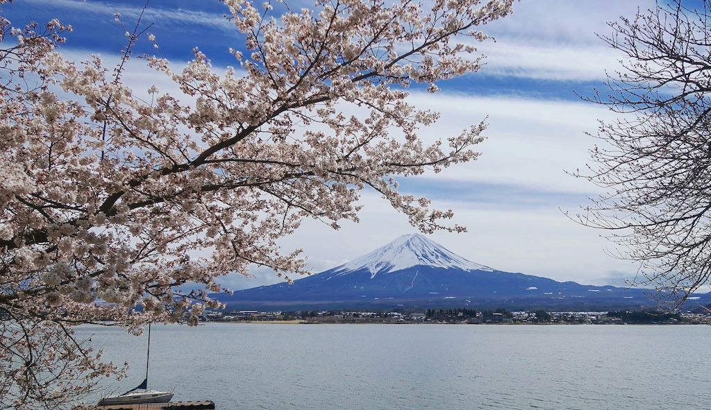 The latest on #overtourism. Fujikawaguchiko are erecting a wall to block views of Mount Fuji in attempt to limit tourist numbers and bad behaviour. buff.ly/3y0D6SY