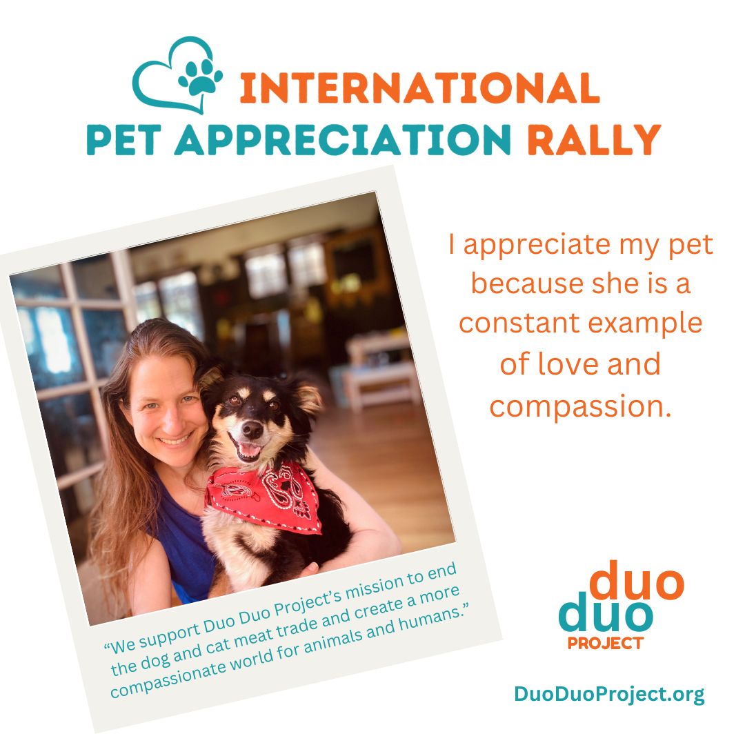 #PetPhotos wanted! It’s easy to join our International #PetAppreciationRally virtually! Choose a favorite pic of your dog or cat (if you’re like us, your phone is full of them) &amp; submit it with a short message of love.

buff.ly/3UeRBKg

#EndDogMeatTrade #EndCatMeatTrade