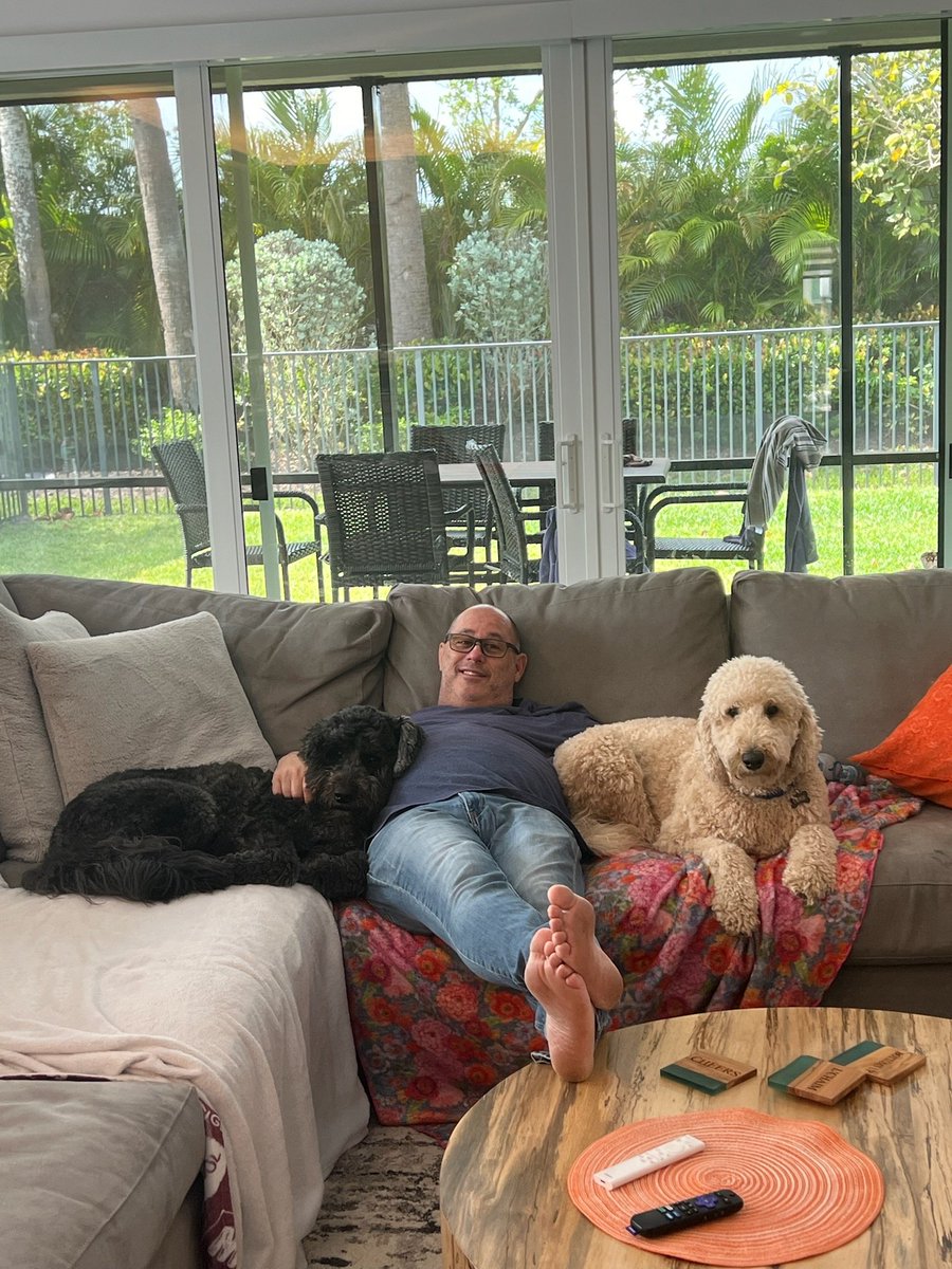 Today's reminder to only vote for people who love dogs. The black goldendoodle is my dog Cooper and the tan one is my grandpuppy Luke. ONLY VOTE FOR PEOPLE WHO LOVE DOGS!!!