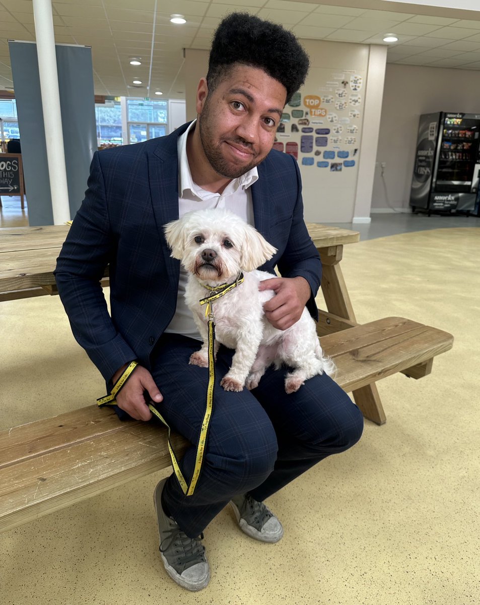 Lovely filming with Dogs Trust Manchester today! Report on @GranadaReports soon. Btw this is Fudge- he’s 12 and wants his forever home! 🐶 @DT_MANCHESTER