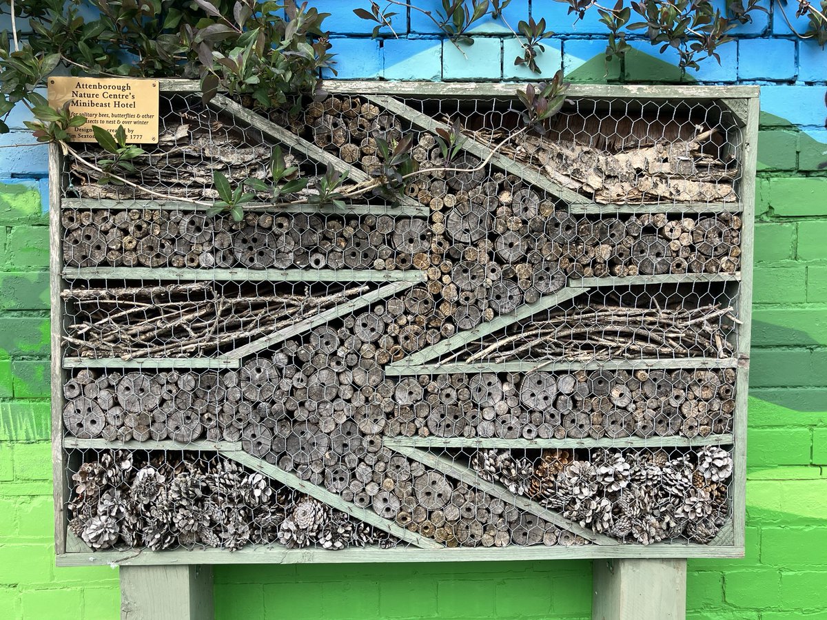 Just buzzing around Nottingham so been to see the bee hotel at Attenborough railway station…