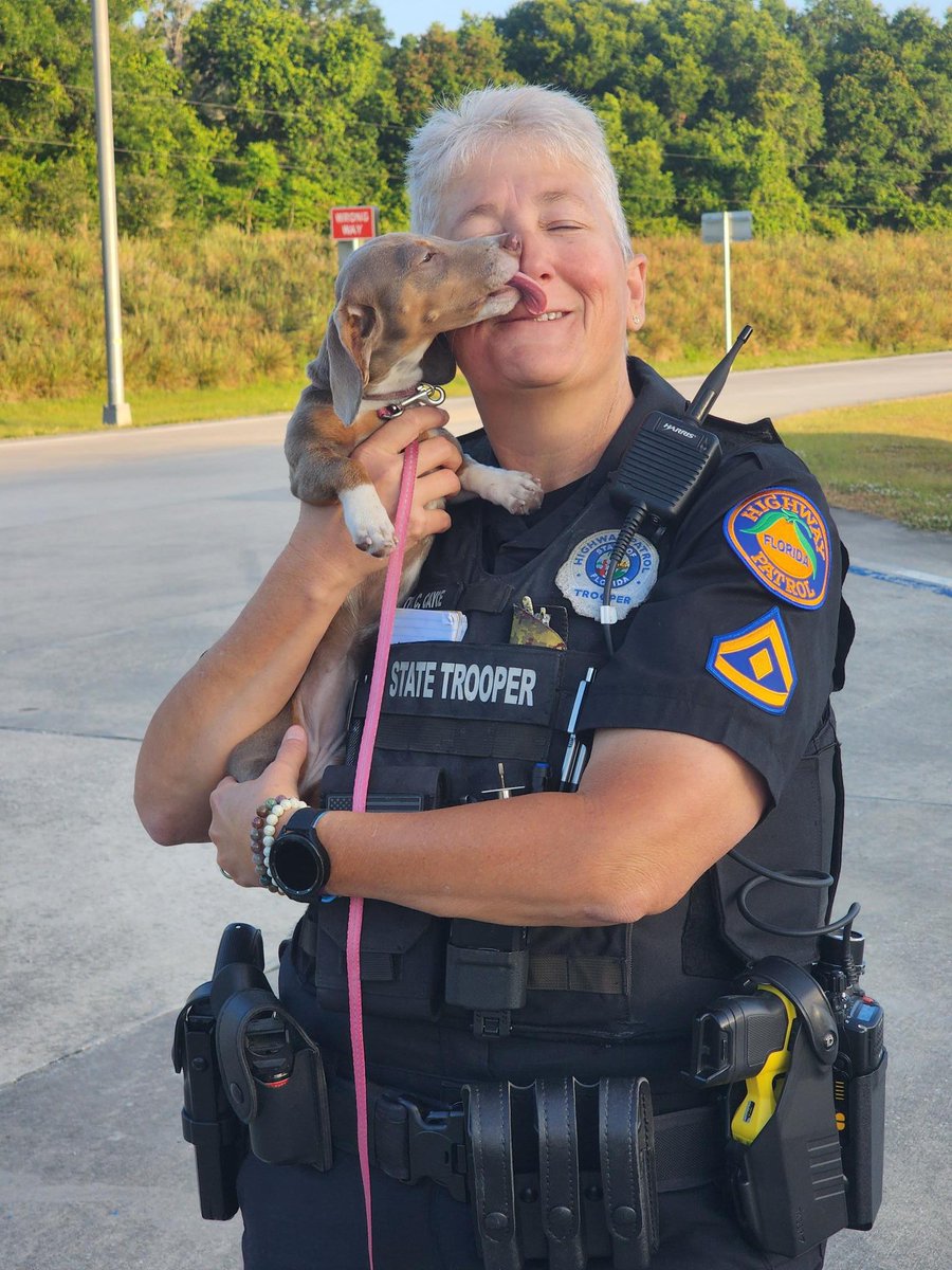 CVE Tampa Tpr. Cynthia Cayce made new friends with Miss Pickles yesterday at the Seffner I4 scales while conducting roadside inspections. #CVE Tampa, #meeting new friends.