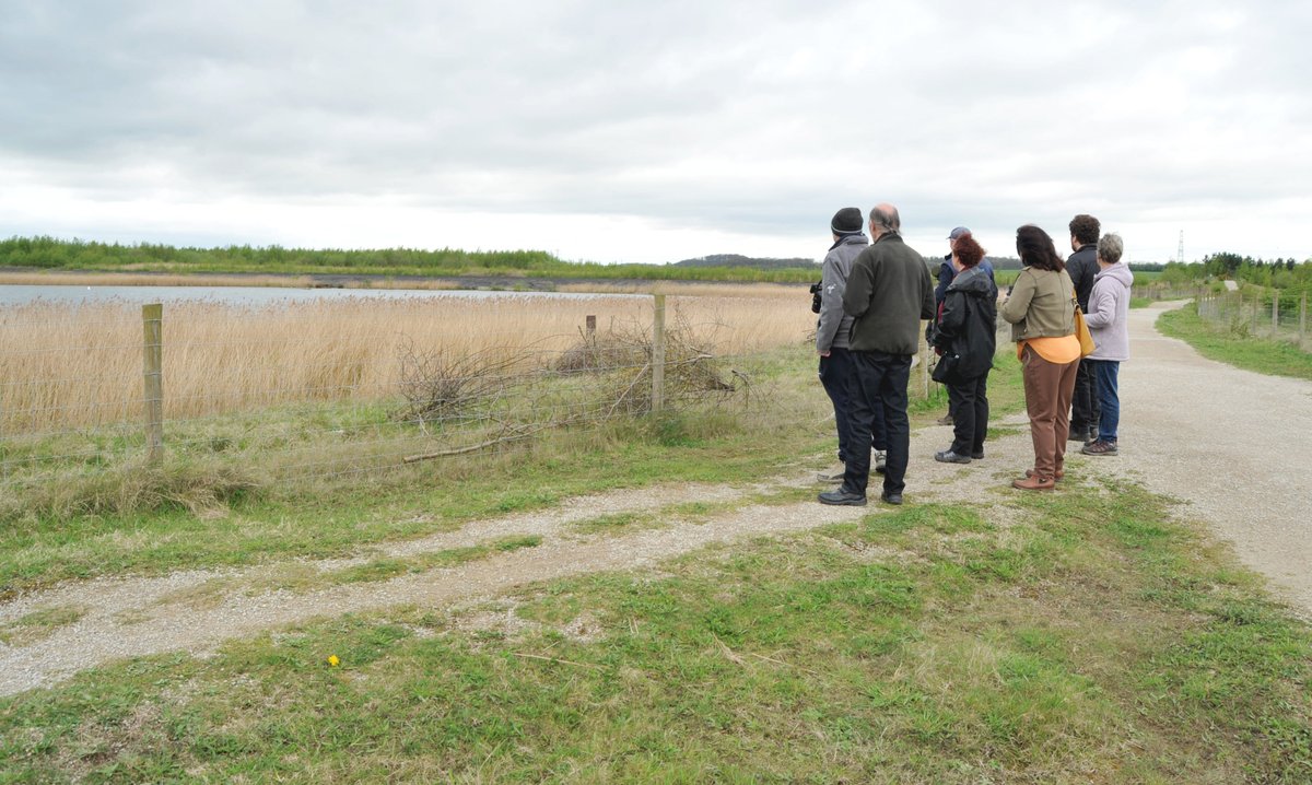 Embark on an #adventure into the #enchanting world of birds! Join us for a #Beginner's #Bird #Safari at #RSPBFairburnIngs. 🐦 Discover the beauty of nature firsthand and learn more about our feathered friends. Don't miss out! Book here: events.rspb.org.uk/browse?filter[… 📷| Lisa Bowman