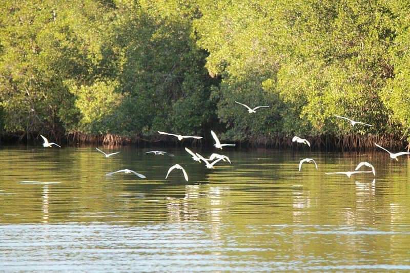 💥Buenos días camaradas Felicidades a todos los trabajadores en su Día Reserva Natural Isla Juan Venado 📷 @Salinas Oscar