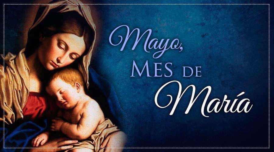 Inicia Mayo conocido como el #MesdeMaria dediquemos cada día una oración a la Virgencita para que nos siga ayudando y protegiendo en nuestro caminar. Que la Virgen nos bendiga. Amén #MayoDeTransformación @NicolasMaduro @dcabellor @Pontifex_es @nicmaduroguerra