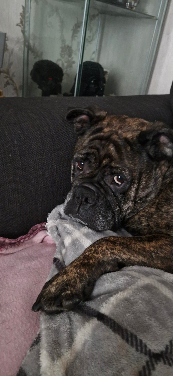 Fifi Lou tweet media