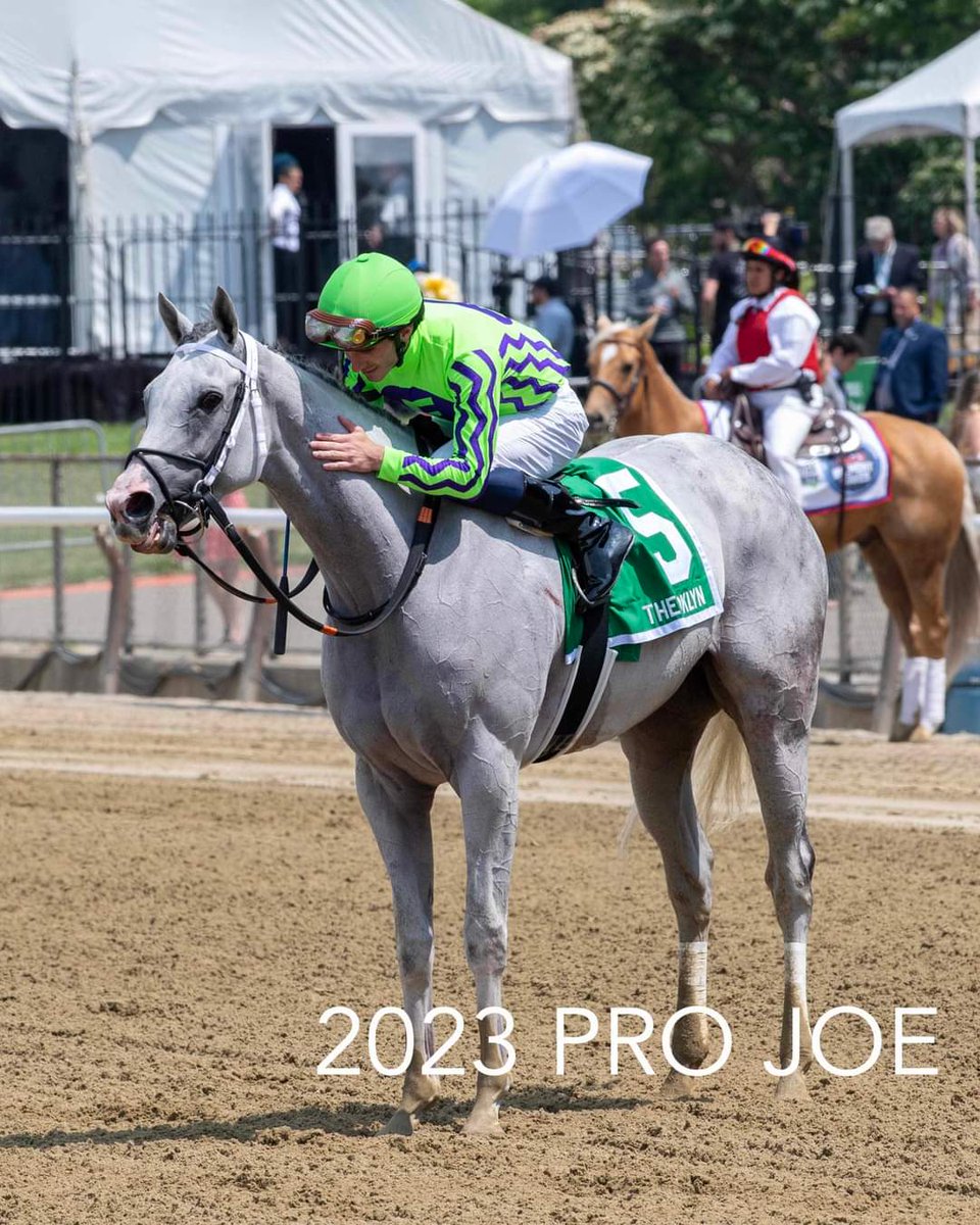 A fan favorite, NEXT returns today at CD. He has won 3 straight and 5 of his last 6. Overall he has won 9 of his 19 races. He was last seen winning the Greenwood Cup Stakes (G3) at Parx in September. Today he will be in race 8 which is the Marathon Overnight Stakes. 📸 Pro Joe