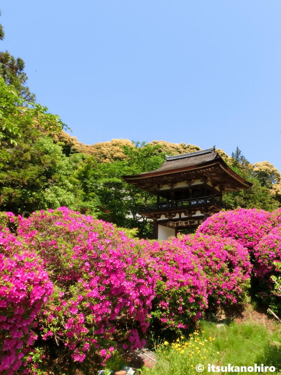 ﾋﾗﾄﾞﾂﾂｼﾞ