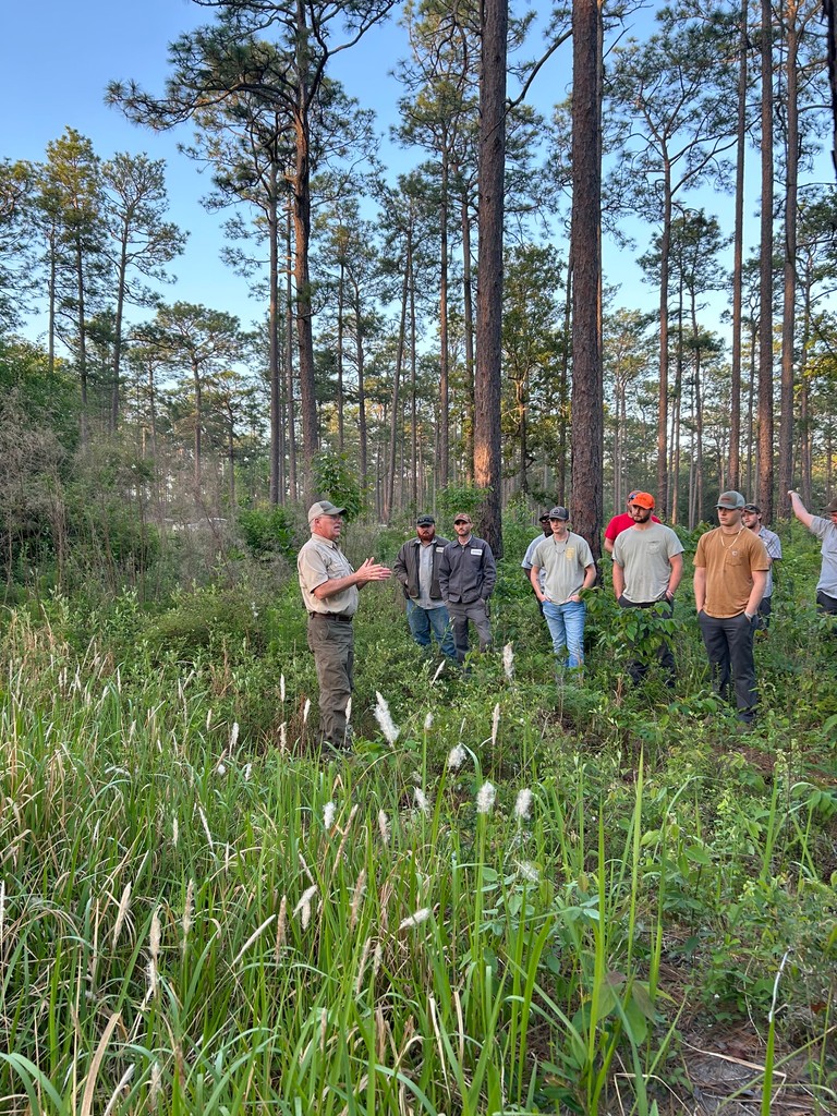 Forest Health Specialist at @gatrees, Mark McClure, educating Jones Center Conservation staff on identification and treatment of cogon grass (pictured here flowering). ❗️If you see it, report it!: gatrees.org/cogongrass-in-…