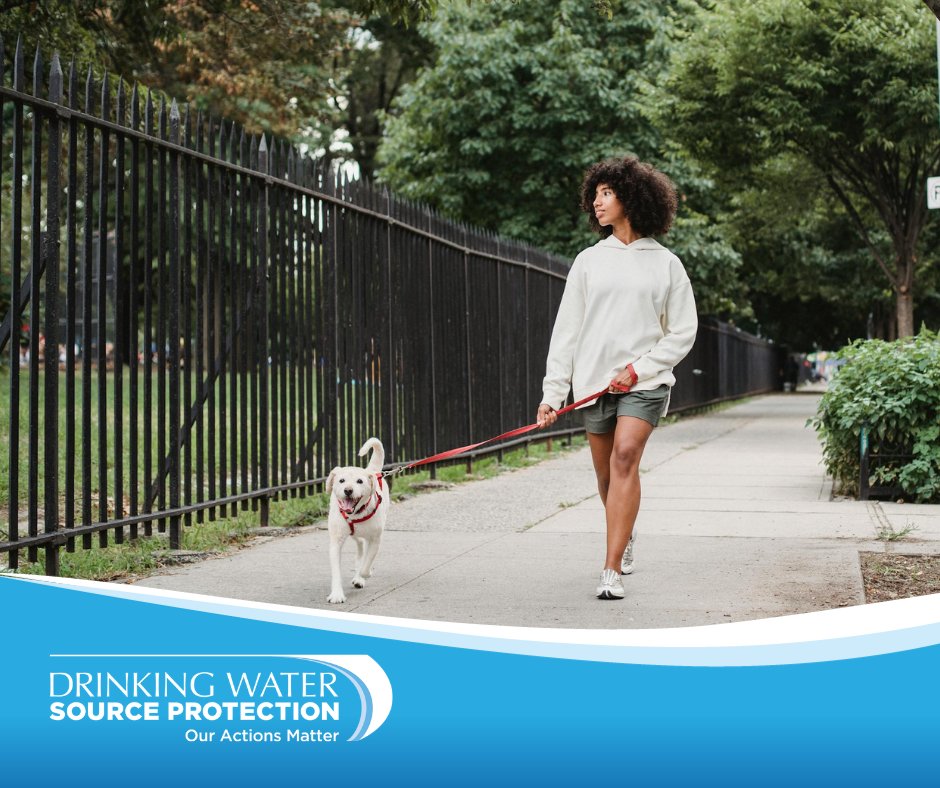 Here’s the scoop on pet poop - it can pollute #DrinkingWaterSources 

with bacteria, viruses, parasites and more! Pick up pet waste and toss it in the trash to protect our #DrinkingWaterSources! Learn more: bit.ly/3vry6FQ  

#SourceWaterON #WaterWednesdays