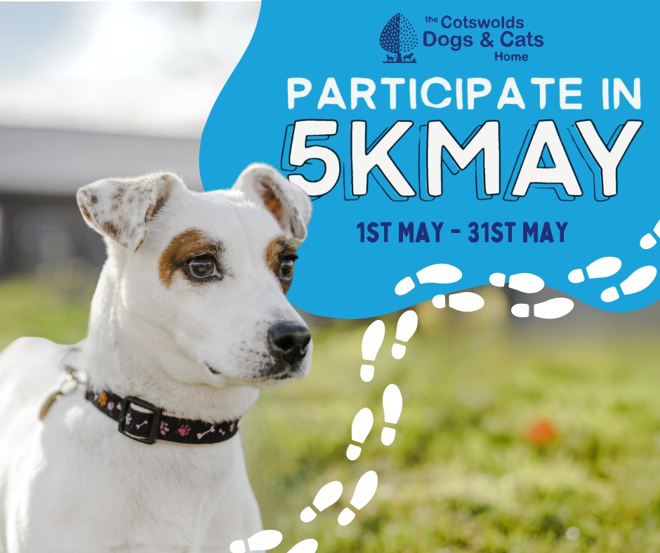 🐾 IT'S 5KMAY!! 🐾 Can you believe it's May already?! This month, we are asking YOU to take part in our challenge, 5KMAY, and help support the animals in our care. 🚶 Walk or run 5K ❤️ Donate £5 👪 Nominate 5 people to take part too #CotsDogsCats #5KMAY #WalkingChallenge