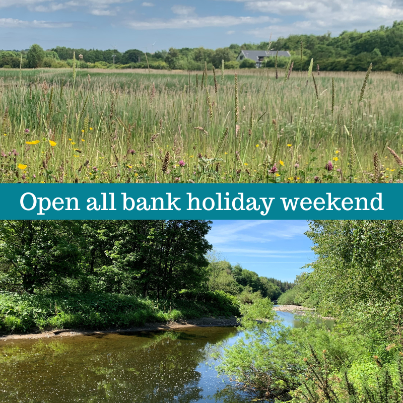 Our visitor centres, coffee shops & gift shops at Rainton Meadows & Low Barns are open all bank holiday weekend. Make the most of the long weekend with a stroll through a stunning wild space, enjoying everything that spring wildlife has to offer. 🚧Parking barriers close: 4.30pm