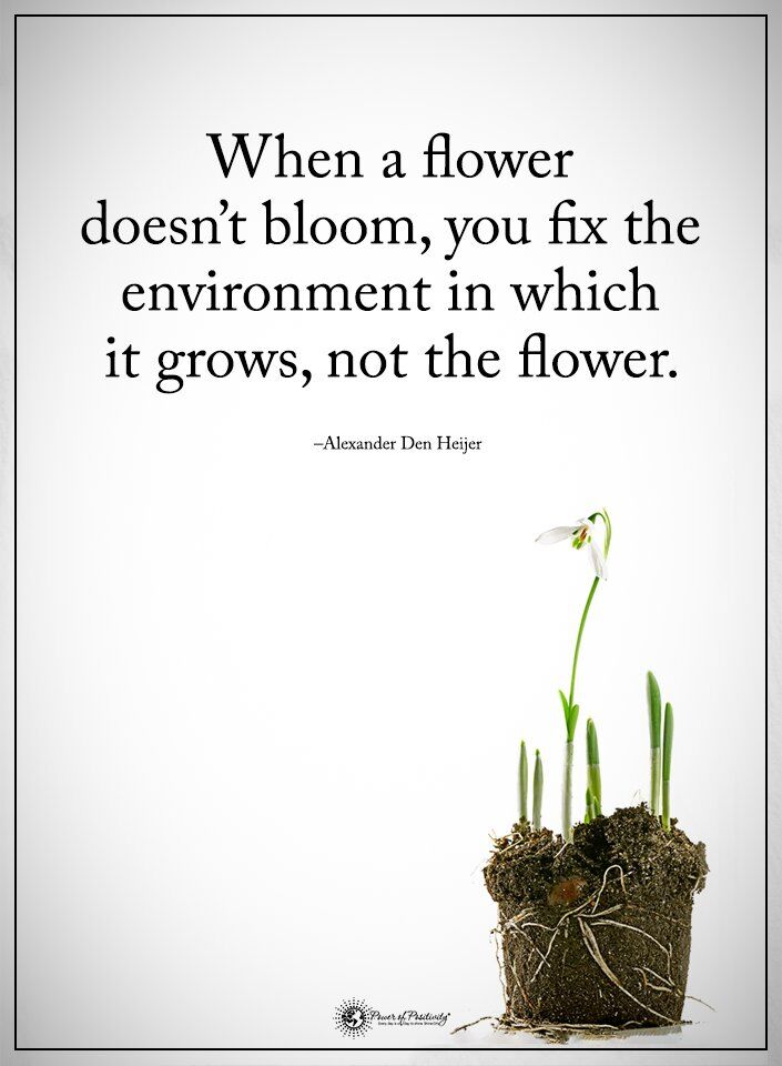 Great #leaders create an environment where people can thrive ~ they assess & adjust, cultivating a culture where each member can flourish. They create a space where ideas bloom, talents grow, & potential can be realized by nurturing conditions for success. #leadership #edchat