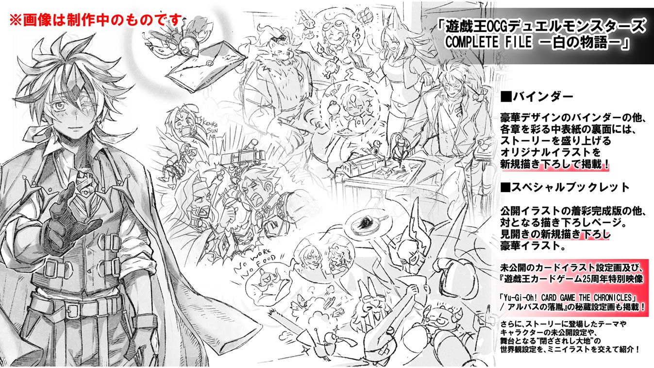 遊戯王　白の物語　ファイル　設定資料集のみ Amazon.co.jp: 遊戯王OCG デュエルモンスターズ COMPLETE FILE