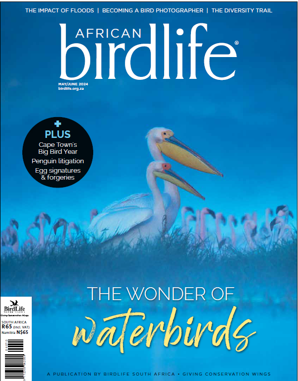 What an excellent issue of African Birdlife magazine! Make sure that you get a copy! @BirdLife_SA @BirdLife_News @BirdLifeAfrica @Natures_Voice