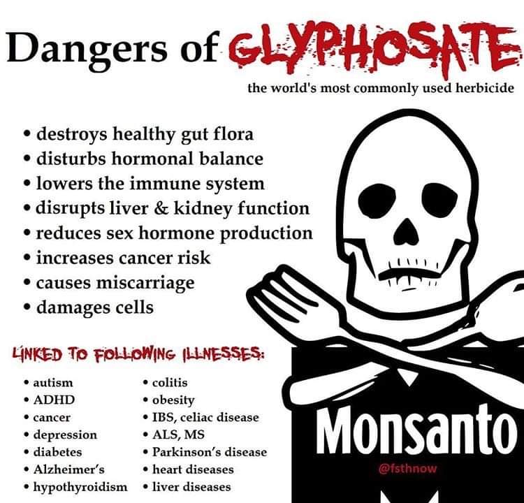 If you're eating food with glyphosate on it which I'm pretty sure everybody is you are wiping out your gut microbe which is connected to your brain.

Glyphosate destroys the shikimate! 
Without shikimate we cannot build new amino acids, the building blocks for life.