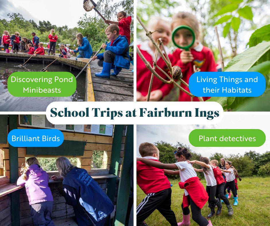 Been thinking about booking a fun, practical #schooltrip that ties in with your teaching? Take advantage of our last summer availability at #RSPBFairburnIngs 🔎 🐛 Find out more on tinyurl.com/5bbsbnm7 or email schoolbookings@rspb.org.uk with your enquiry 🐾🦊 @UKSchoolTrips