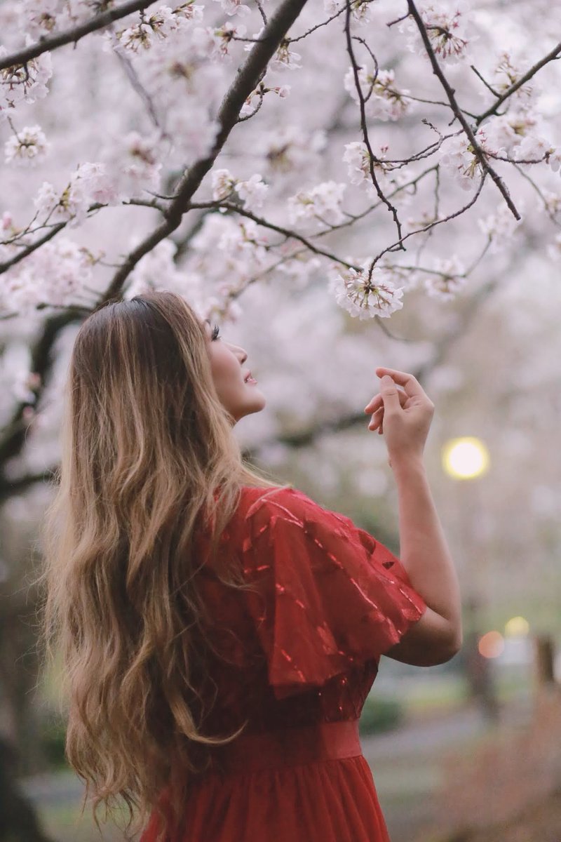 夜桜🌸🌸｡❀·̩͙

⁡⁡#bikinicompetitor #fitnessmodel #personaltrainer #フィットネスモデル #筋トレ女子 #筋肉女子 #スポーツ女子 #トレーニング #training #筋トレ #workout #パーソナルトレーナー #beachgirl #桜 #夜桜 #cherryblossom #sakura