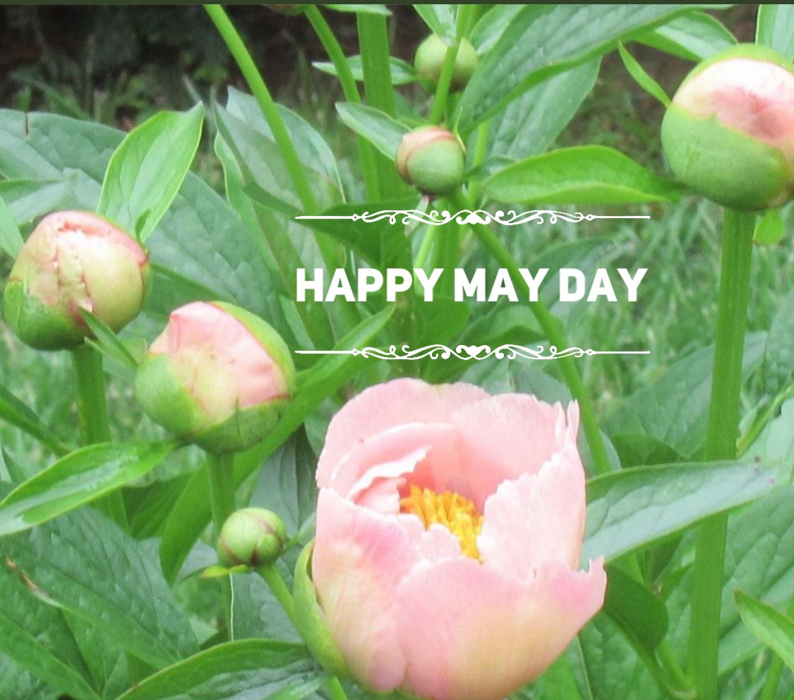 Happy May Day! Enjoy this beautiful day🌸