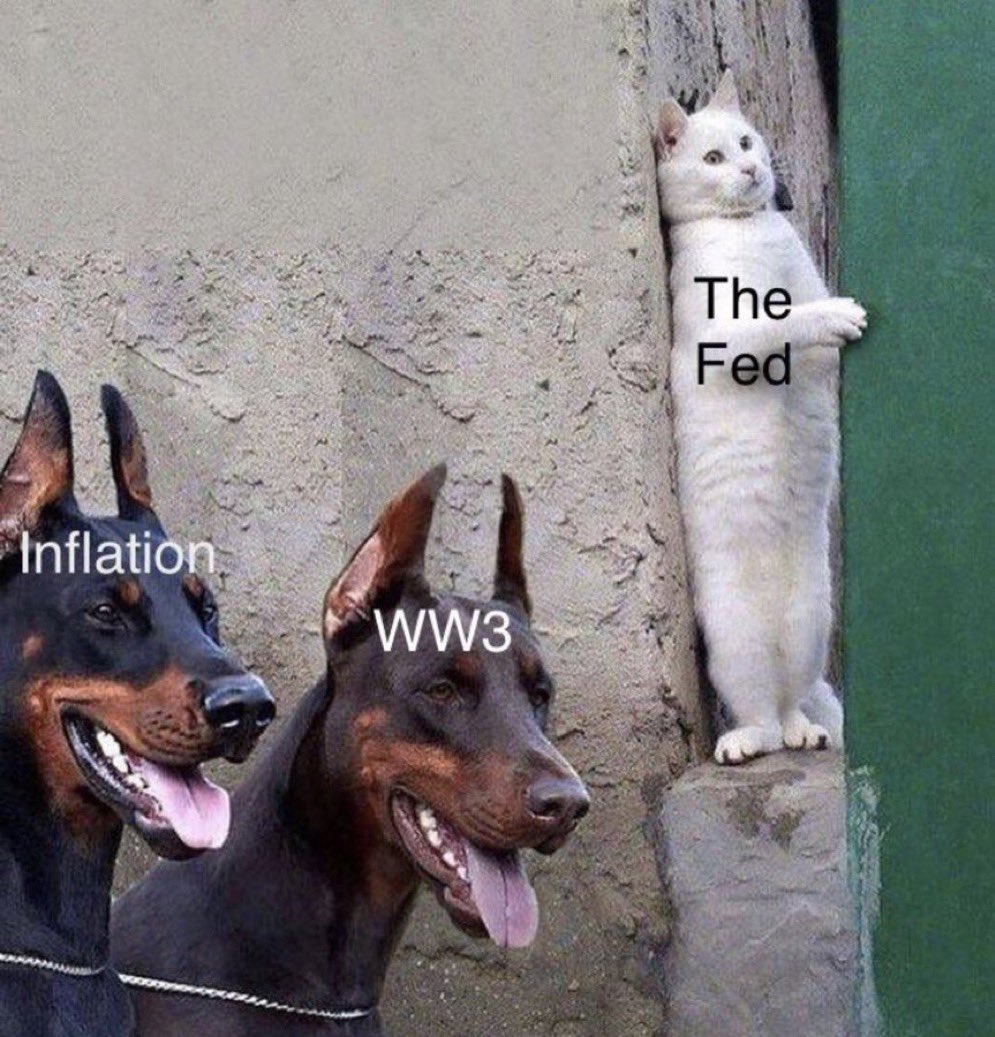 Credits to whoever made this 😆 #FOMC #Fed #inflation #WorldWar3