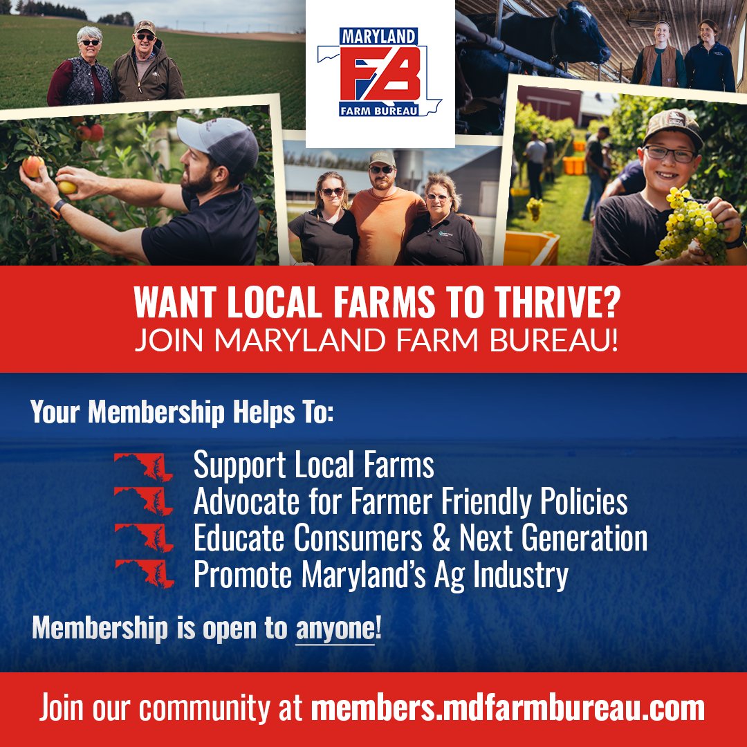 FarmBureauMD's tweet image. Your membership in MDFB helps to:

🌾 Support Local Farms
🚜 Advocate for Farmer Friendly Policies
😋 Educate Consumers &amp;amp; Next Generation
👩‍🌾 Promote Maryland's Ag Industry

Learn more at mdfarmbureau.com and join our community at members.mdfarmbureau.com