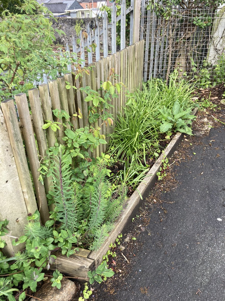 Richard Reynolds tweet media