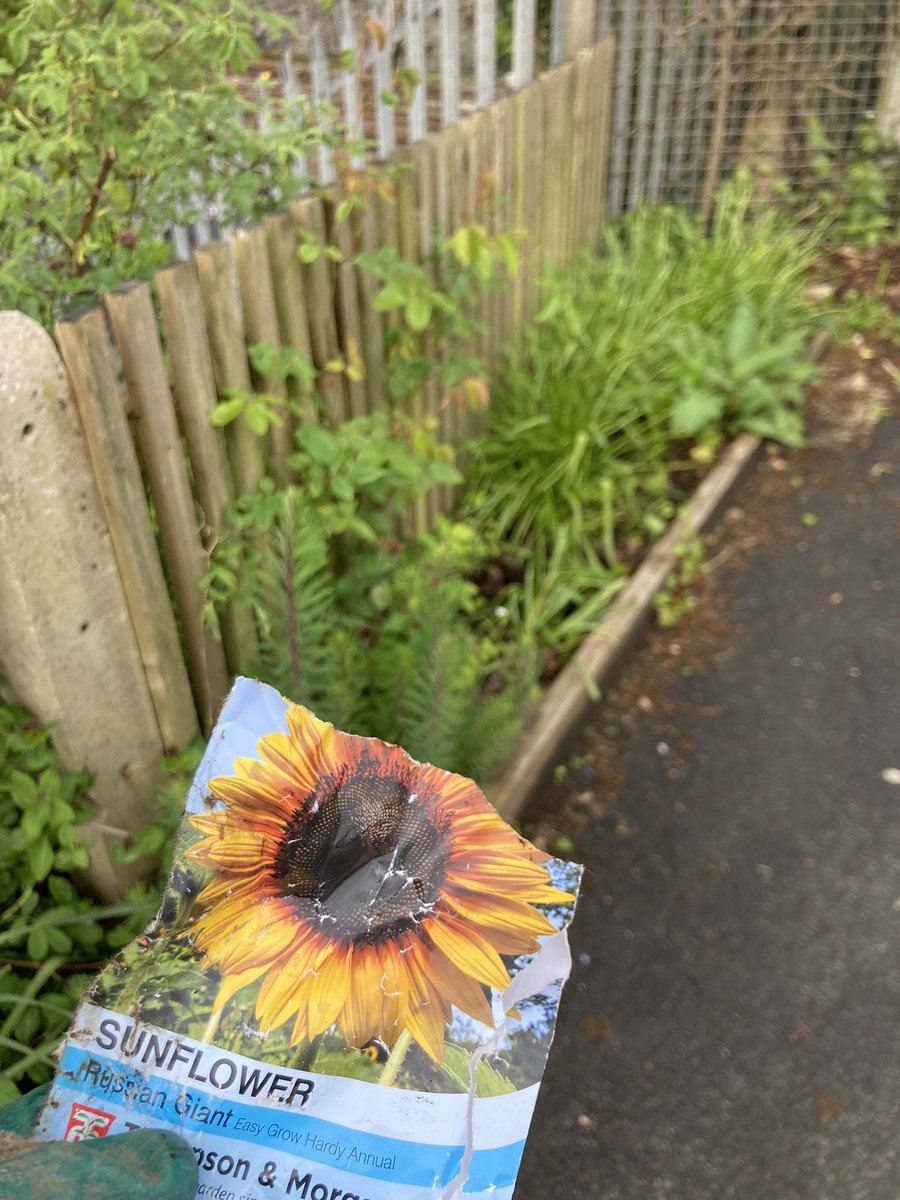 Richard Reynolds tweet media