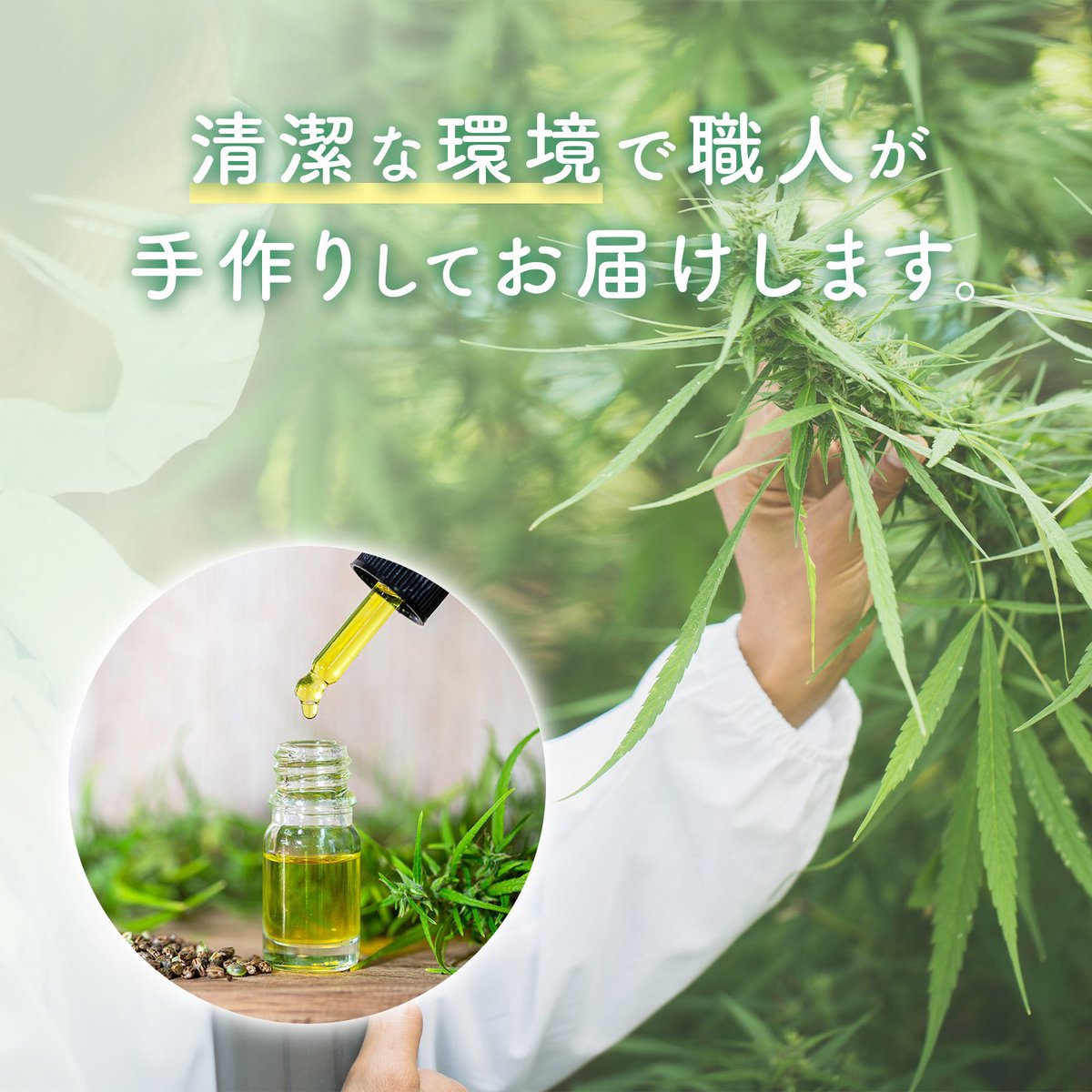 CBD_Chill_Neco's tweet photo. さっき仕事終わり久々に CBN×CBGジョイントでチルしたんですけど本当にヤバいですこれ

忖度なしでちょいブリなります。最高なんで本当試してください。

『 CBNリキッド全然効果ないやん』て人に心の底から試してほしい素晴らしいジョイントです。

https://t.co/zVJ67huCjc https://t.co/PSIBeEzlAF