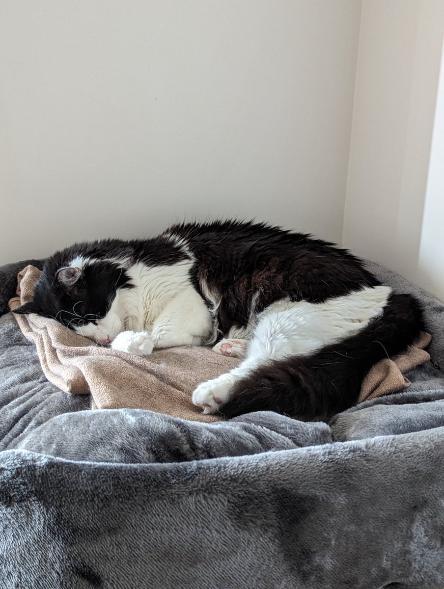 they/them causing jayhem tweet media