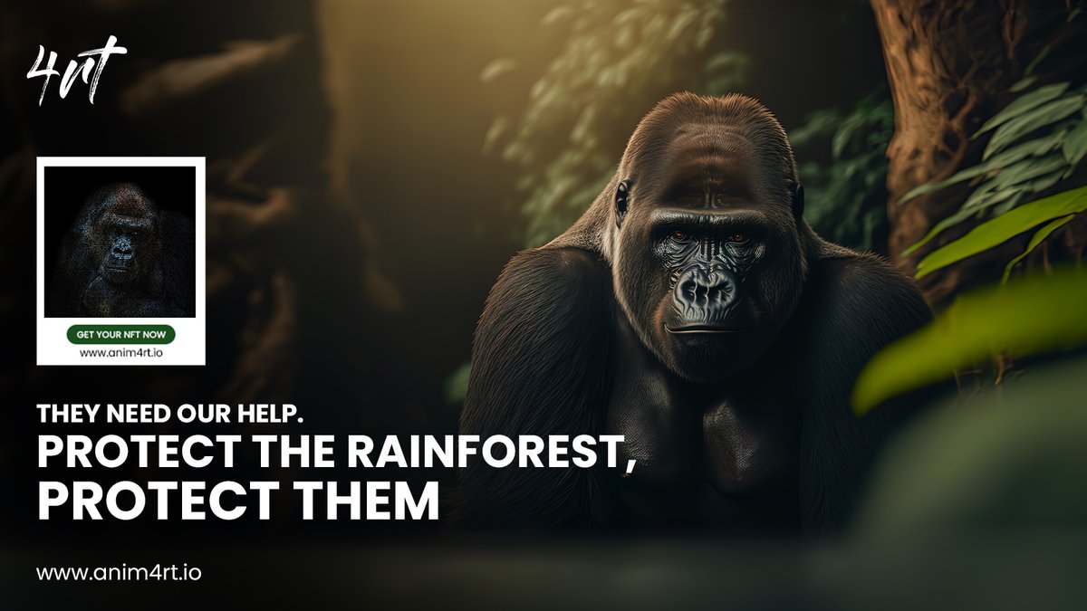 Meet the magnificent Gorilla! This majestic creature calls the rainforest home, but habitat loss threatens their survival 🦍 #protectrainforest #nfts