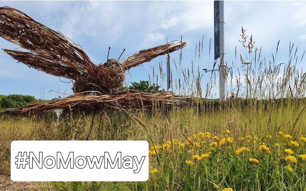 We're supporting #NoMowMay and looking forward to helping #Pollinators all year round too with our #PollinatorParks projects #rewilding business and retail parks. Thanks @Love_plants for a great campaign. 🙏🐝🦋🐞🌼🌏❤️ Photo:- #PollinatorParks garden @Dalton_Park #pollinators