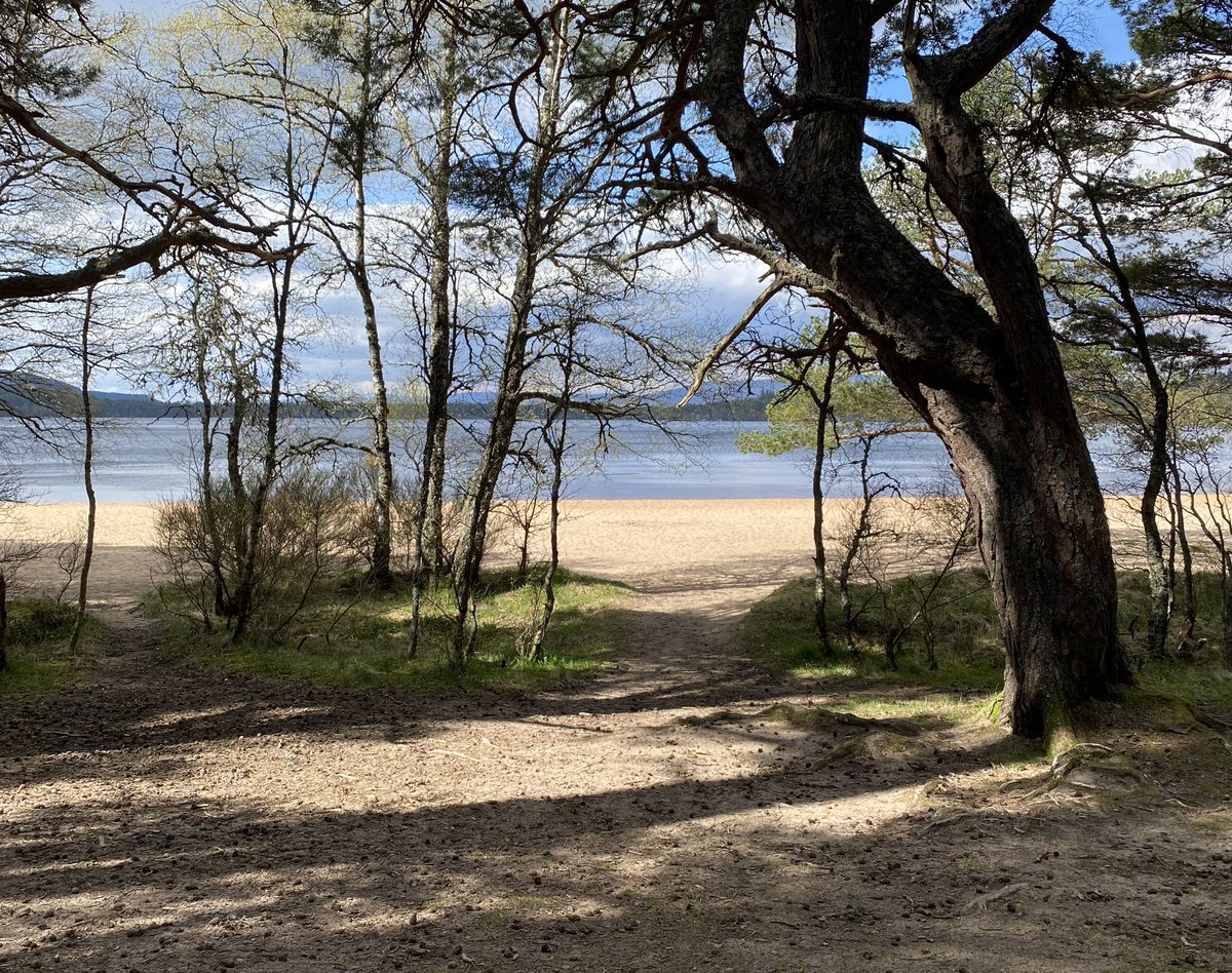 #Beltane at Loch Morlich, #Cairngorms.