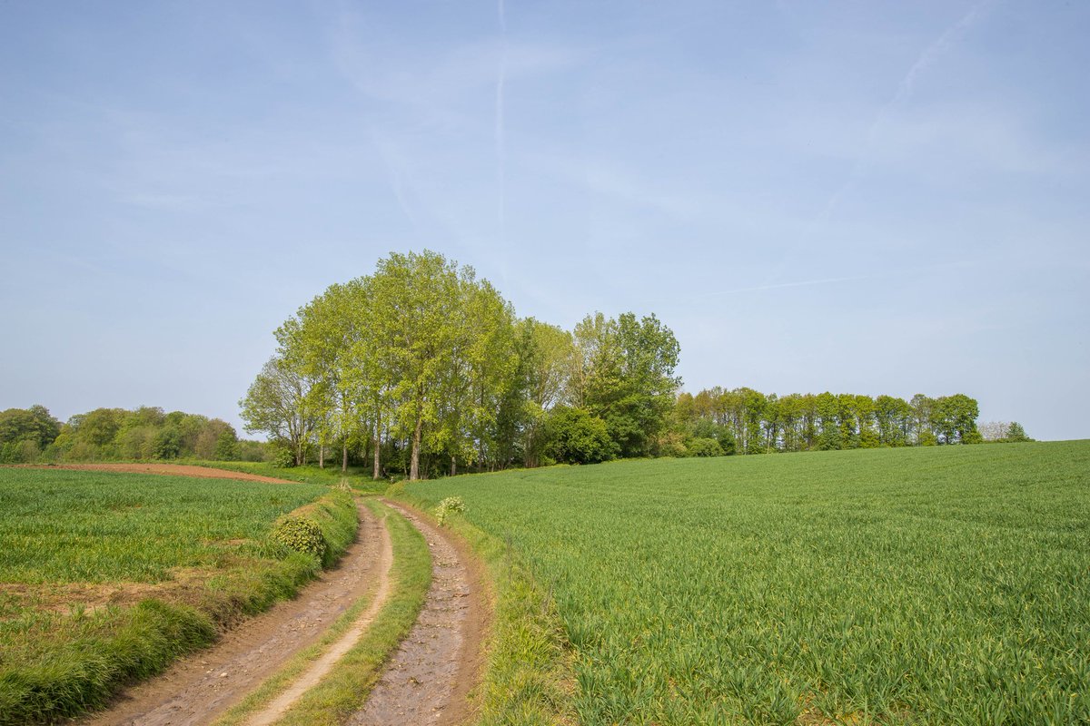 #vrtweer #weerfoto #nwbnlx @BuienradarBE Kortbeek-Dijle om 11h