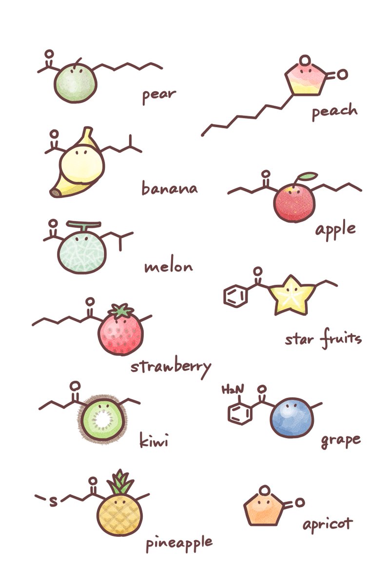 【酢エチさんのフルーツな仲間】 #有機化学 #化学