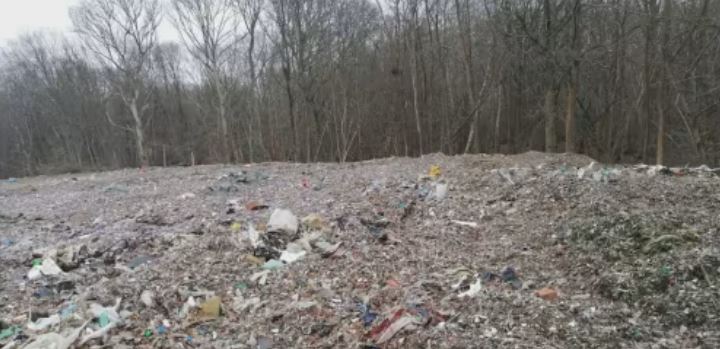 Thanks @BBCRadioKent for having us on your breakfast show earlier talking about the menace of fly-tipping, & the disgraceful dumping of 30,000 tonnes of waste at Hoad's Wood. The site, a SSSI, needs to be cleared up asap #CLA #Kent @rescuehoadswood @ChrisGPackham #RescueHoadsWood