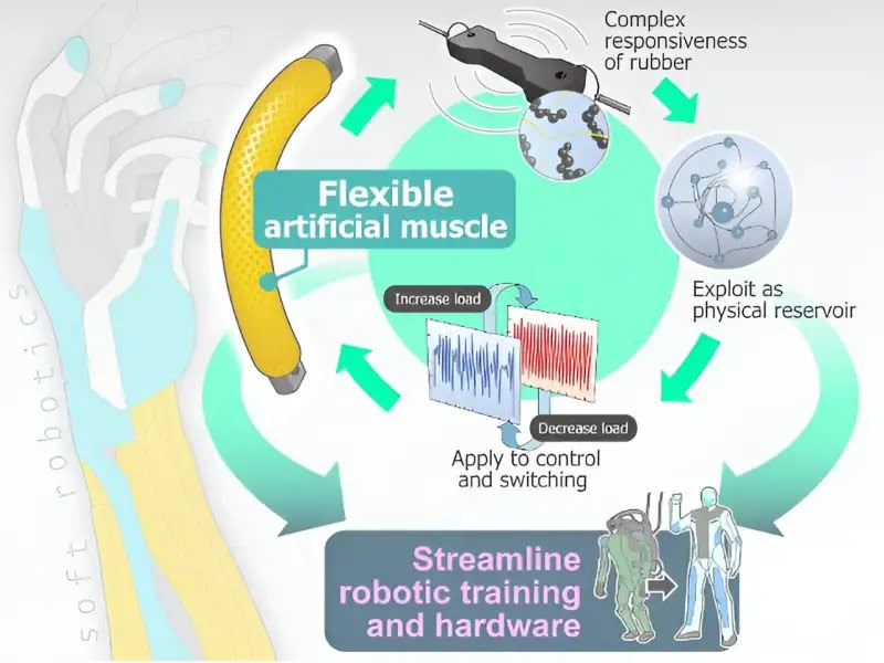 💥 Built-in Bionic Computing: Method to control Pneumatic Artificial Muscles ▶️
#AI #MachineLearning #IoT #ML #Python #Javascript #HTML #Cloud #Robotics #Web3 #HealthIT #DigitalHealth #IoMT #HealthCare #MedTwitter #Coding #100DaysOfCode
techxplore.com/news/2024-04-b…