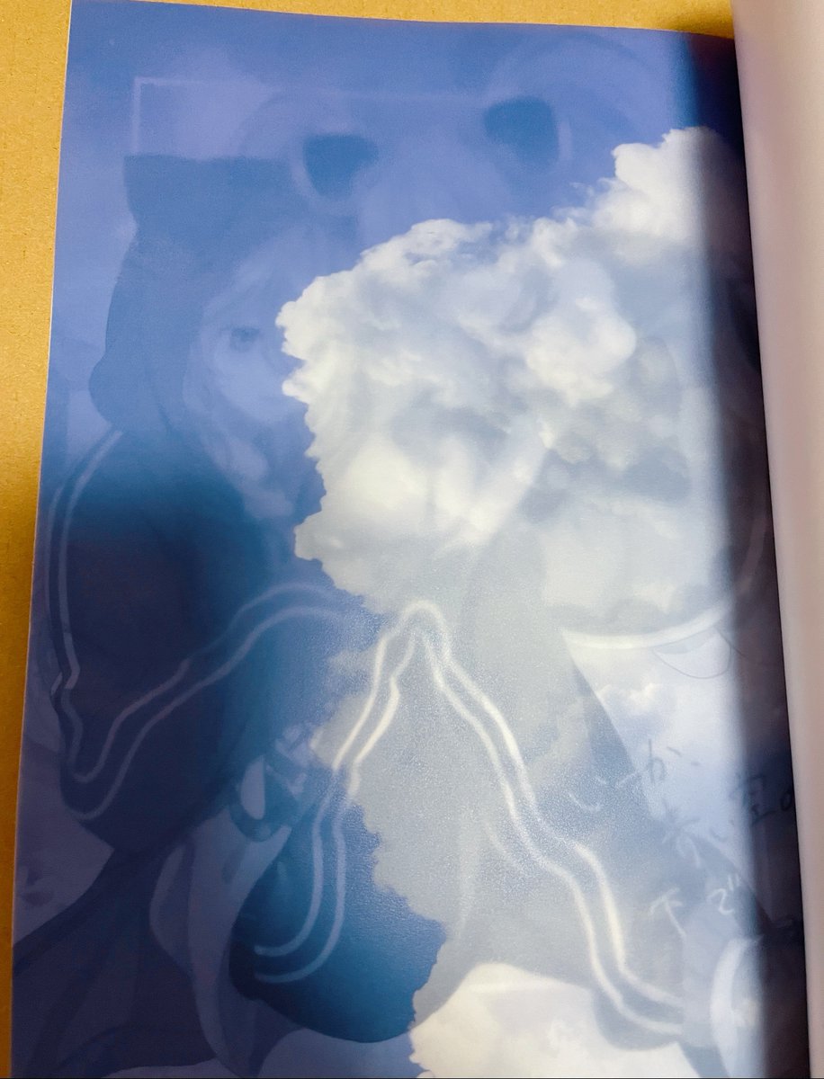 新刊届きました!すっっごく綺麗に印刷していただいた…!表紙裏に線画のマルリリちゃんをお空の上に載せてるのですが綺麗に出てて感動した😿お空のトレペの遊び紙挟んでいただいて本文特色の紺でお願いしたんですがすごくよかった…!カンビさん(@KanbiLivre )本当にありがとうございました😿💕 