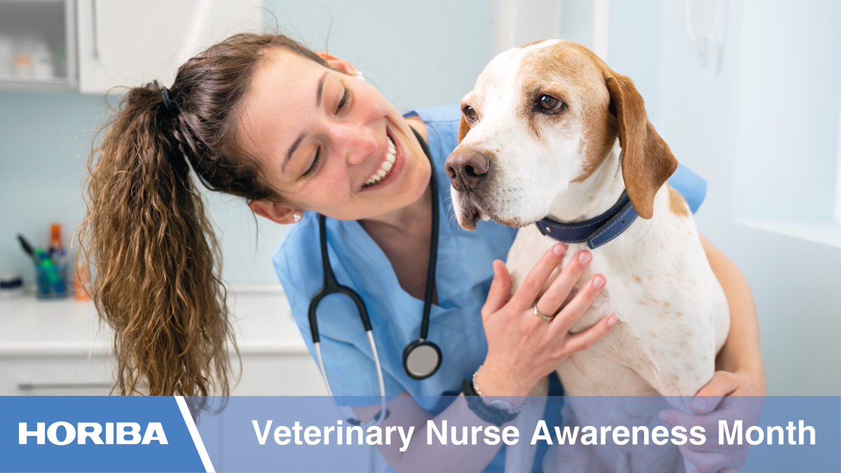 May is Veterinary Nurse Awareness Month! #HORIBA are proud to celebrate our dedicated #veterinary nurses who provide the highest levels of care for animals, from the smallest to the largest, from neonates to geriatrics. Let’s hear it for #veterinarynuses! #VNAM2024 #WhatVNsDo