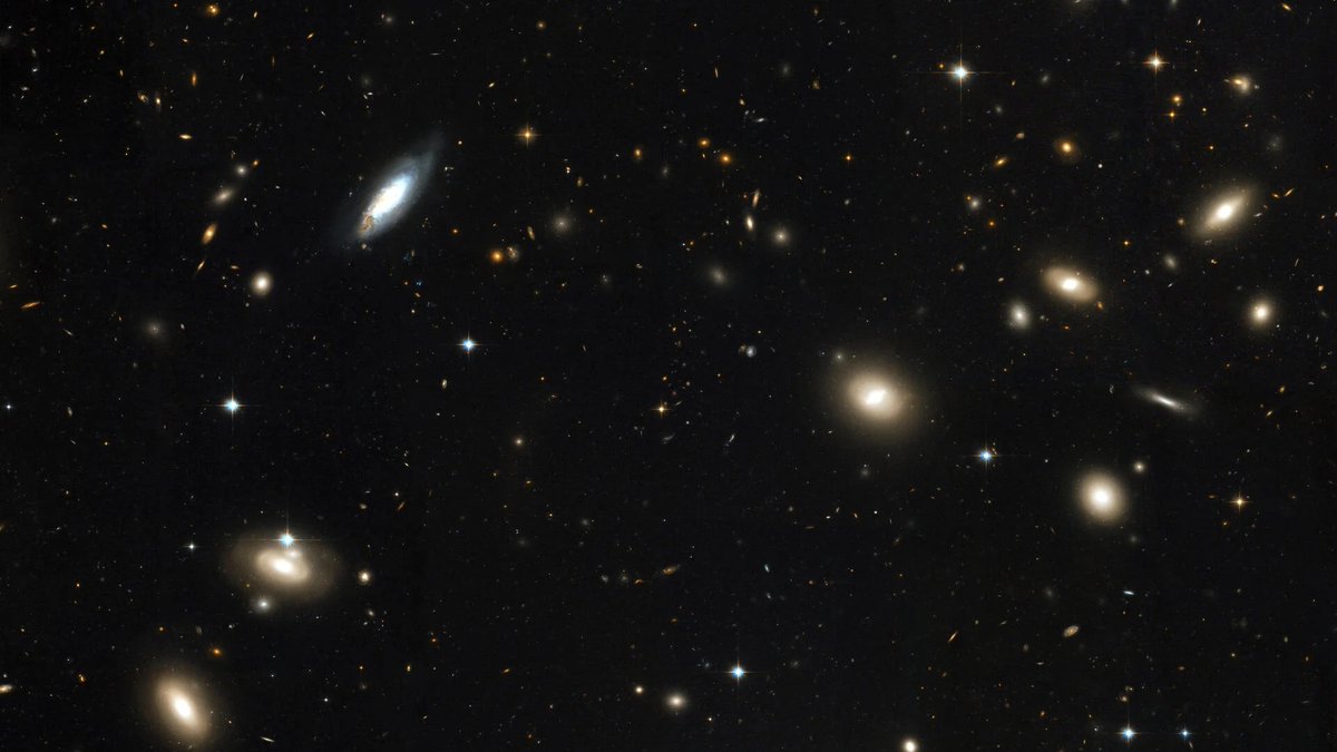 University of Waterloo (@uwaterloo) on Twitter photo Waterloo and <a href="/UBC/">University of British Columbia</a> researchers have discovered a potential “cosmic glitch” in the universe’s gravity, explaining its strange behaviour on a cosmic scale.
Read how they have created a model to explain the inconsistencies of the theory of general relativity: bit.ly/49ZG1Zs Waterloo and <a href="/UBC/">University of British Columbia</a> researchers have discovered a potential “cosmic glitch” in the universe’s gravity, explaining its strange behaviour on a cosmic scale.
Read how they have created a model to explain the inconsistencies of the theory of general relativity: bit.ly/49ZG1Zs